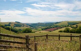 Bluetongue warning to Welsh farmers  