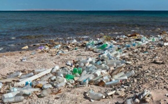 Credit: TOMRA, the Alliance to End Plastic Waste Credit: TOMRA, the Alliance to End Plastic Waste