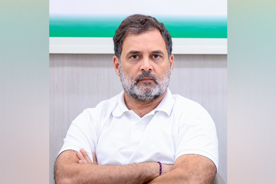 "Marks a progressive step toward balancing animal welfare": Rahul Gandhi supports SC's revised directive on stray dogs