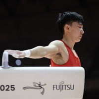 (SP)INDONESIA-JAKARTA-GYMNASTICS-WORLD CHAMPIONSHIPS-MEN'S POMMEL HORSE