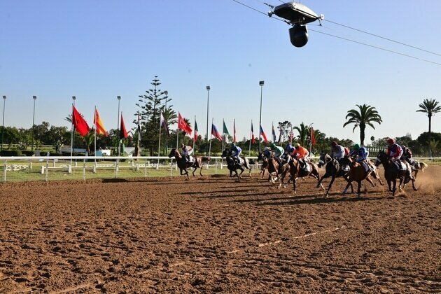 17 horses set to compete for UAE President's Cup Title tomorrow in Morocco
