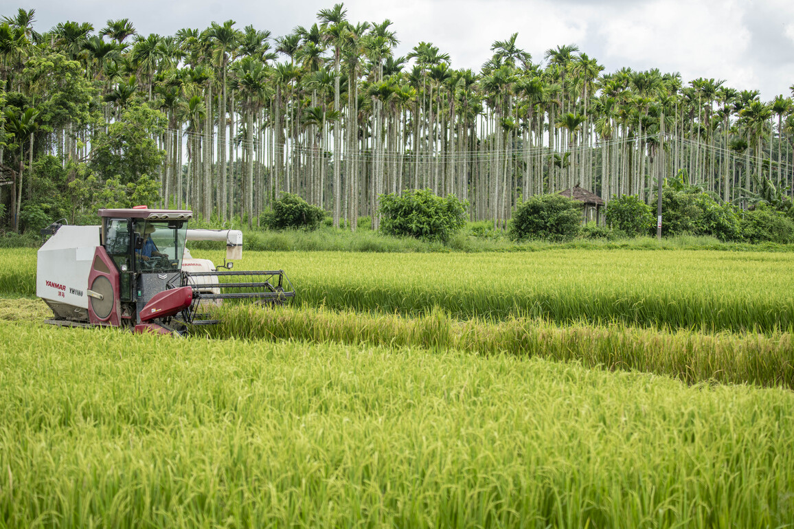#CHINA-WHITE DEW-FARMING (CN)