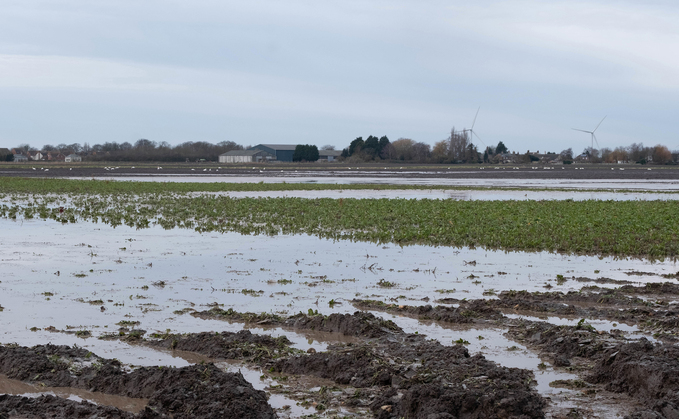 Spring advice for waterlogged crops