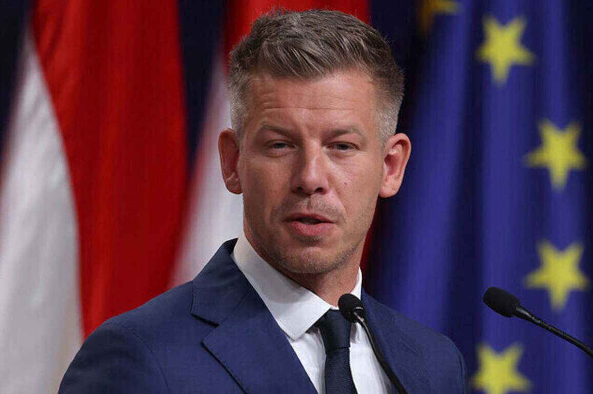Hungarys first LGBTQ activist named education minister  media