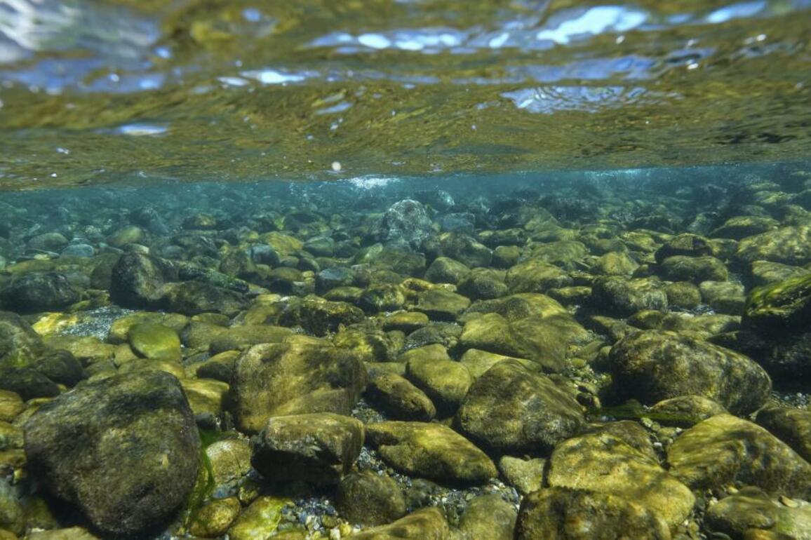 Forest lands along Klamath River returned to California's Yurok Tribe