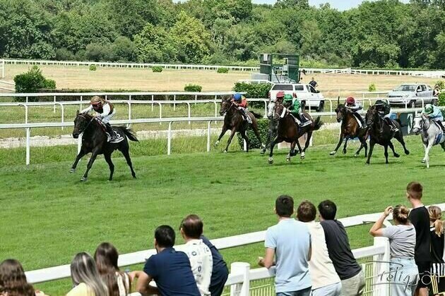 43 horses compete in Wathba Stallions races at Mont-de-Marsan Racecourse tomorrow in France