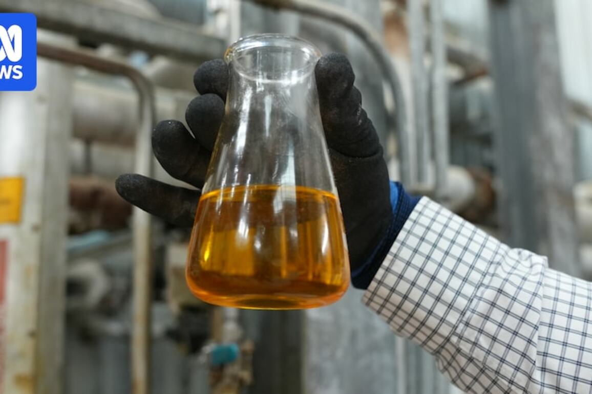 Plan to manufacture aviation fuel from Australian canola well underway