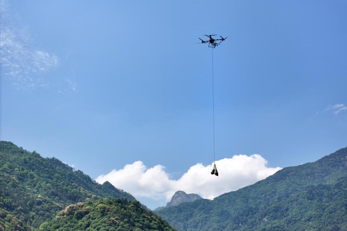 GLOBALink | Digital upgrades help east China county's black tea go global