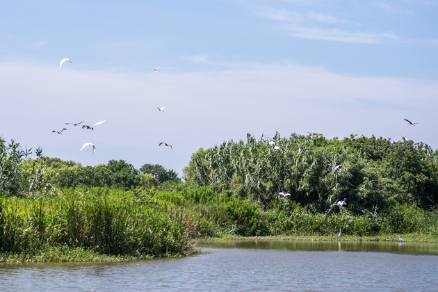 CHINA-ZHEJIANG-NINGBO-BIRDWATCHING (CN)