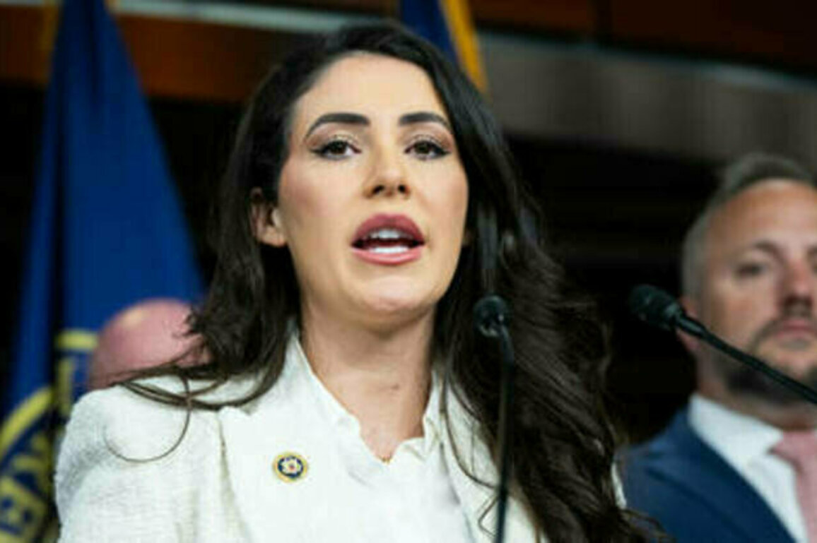 No weapons for Kiev over church persecution - US congresswoman