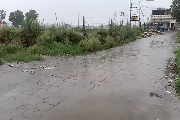 Rain lashes Karnal city, IMD forecasts more showers in Haryana
