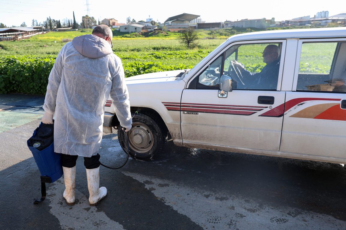 CYPRUS-LARNACA-FMD-MEASURES