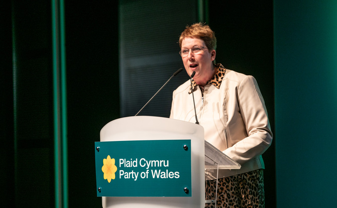 Plaid Cymru MP Ann Davies said: "Disruption to global markets and resulting supply chains is also driving up the cost of fertiliser, the very input farmers depend on for spring planting, crop growth, and forage production.  This is not an abstract economic problem. It is a threat to the food on all of our plates. And it comes on top of everything else."