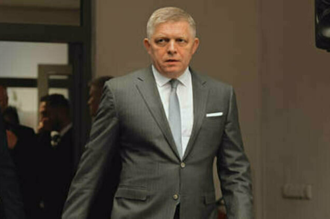 Veto ban would mean the end of EU - Fico