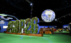 IW's Kathleen Gallagher: Reflections from a week at COP26 