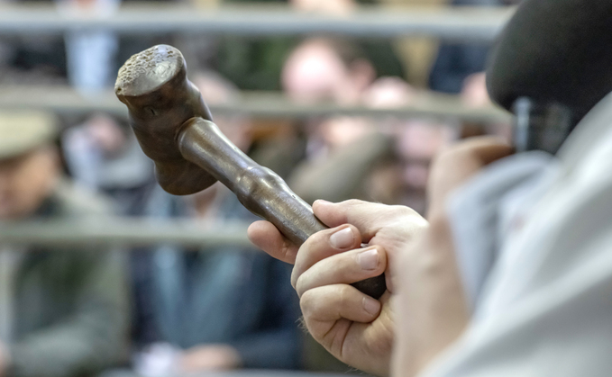 Early ram sales to take place both sides of Welsh border due to bluetongue