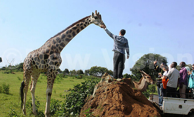 Uganda to woo tourists with Hong Kong road show Uganda to woo tourists with Hong Kong road show