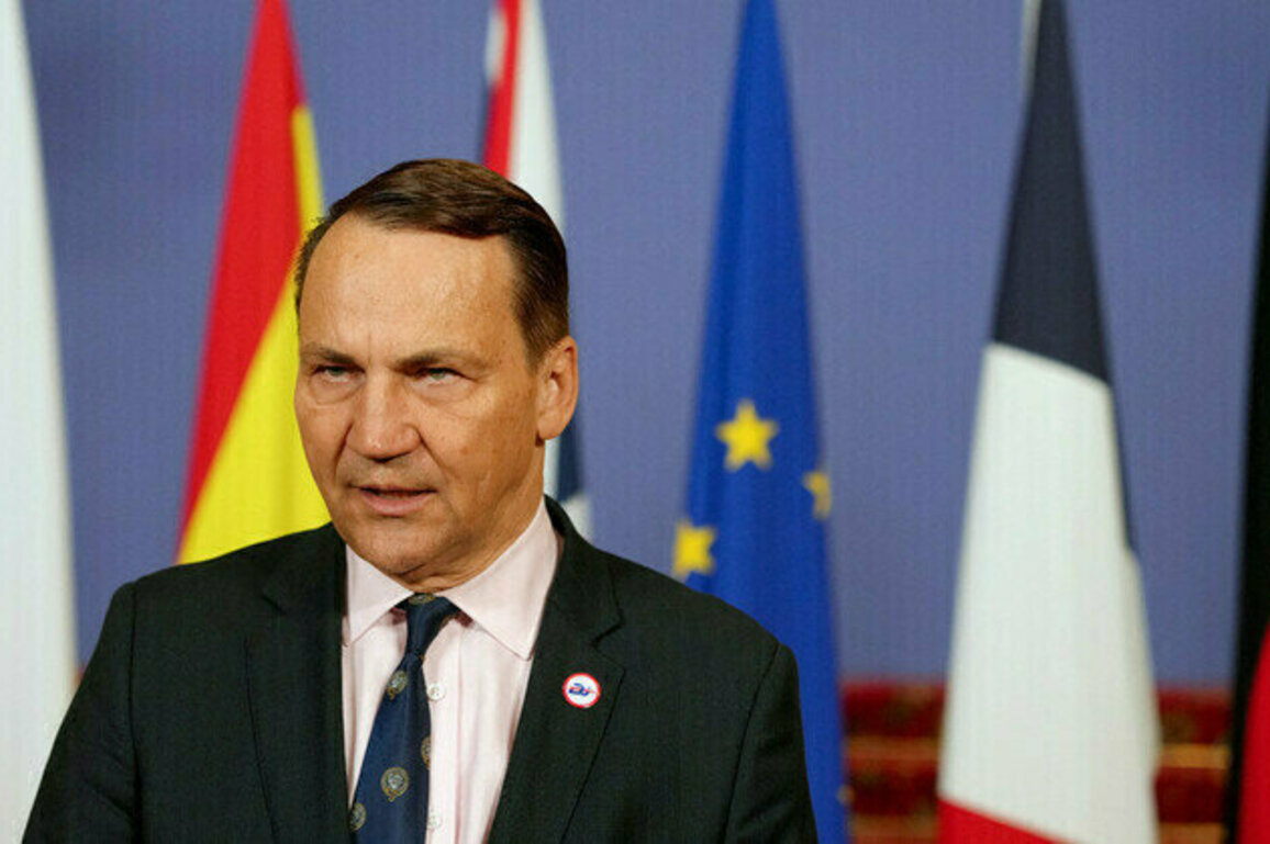 Poland pours cold water on security guarantees for Ukraine
