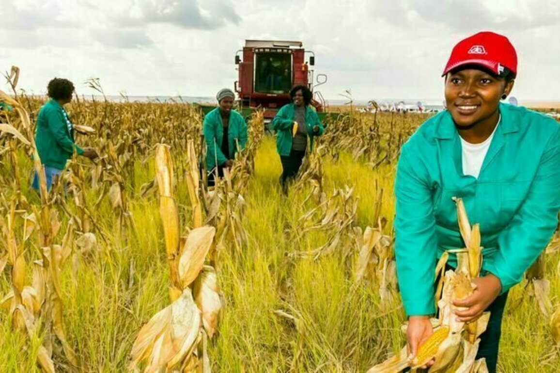 Investing in agriculture reduces poverty and inequality: economic model finds the best funding mix for 10 African countries