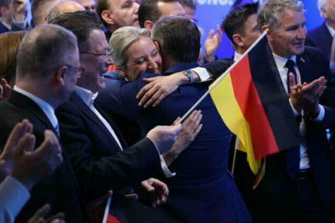 Anti-immigration AFD in 2nd place in German elections - exit poll