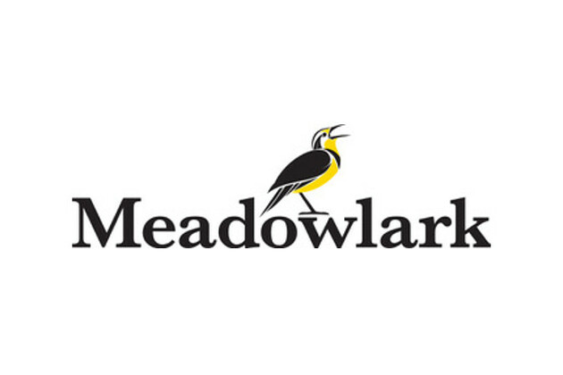 DraftKings and Meadowlark Ink New Deal to Expand FAST Reach