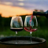 Finding the parents of Cabernet Sauvignon and Chardonnay: how DNA analysis can trace a wine's genetic origins