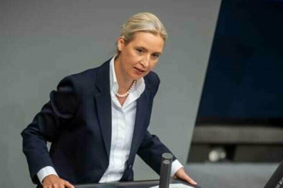 German opposition slams EU 'hypocrisy' on Ukraine
