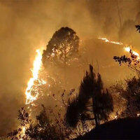 Uttarakhand: 20 forest fire incidents reported in Rudraprayag, 15 hectares affected