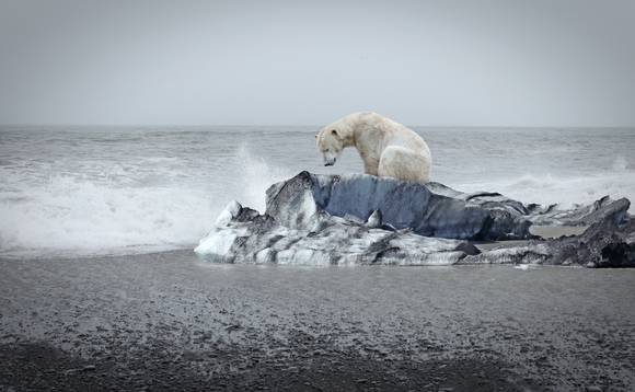 Polar bears v solar PV: Is it time to rethink how sustainability is visually marketed?