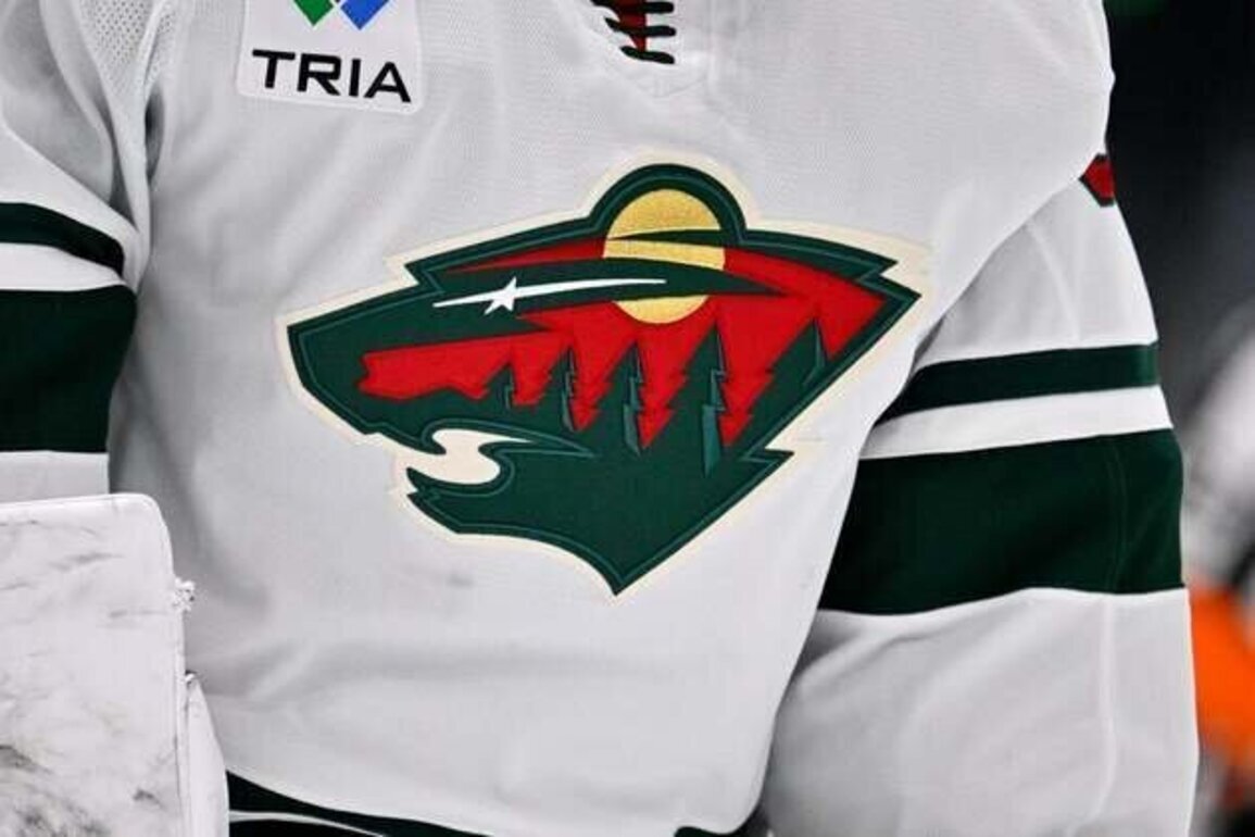 NHL mourns death of Minnesota reporter, 3 children in house fire