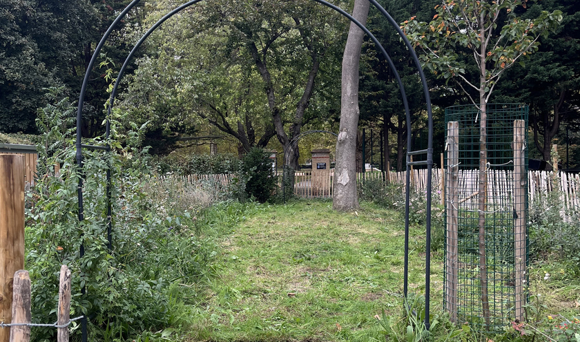 Moreton Gate Nature Garden  © Abundance Investment