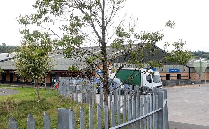 Farmers breathe 'sigh of relief' over new Carmarthen Mart lease
