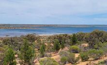 Main lake of Stockyard Plains