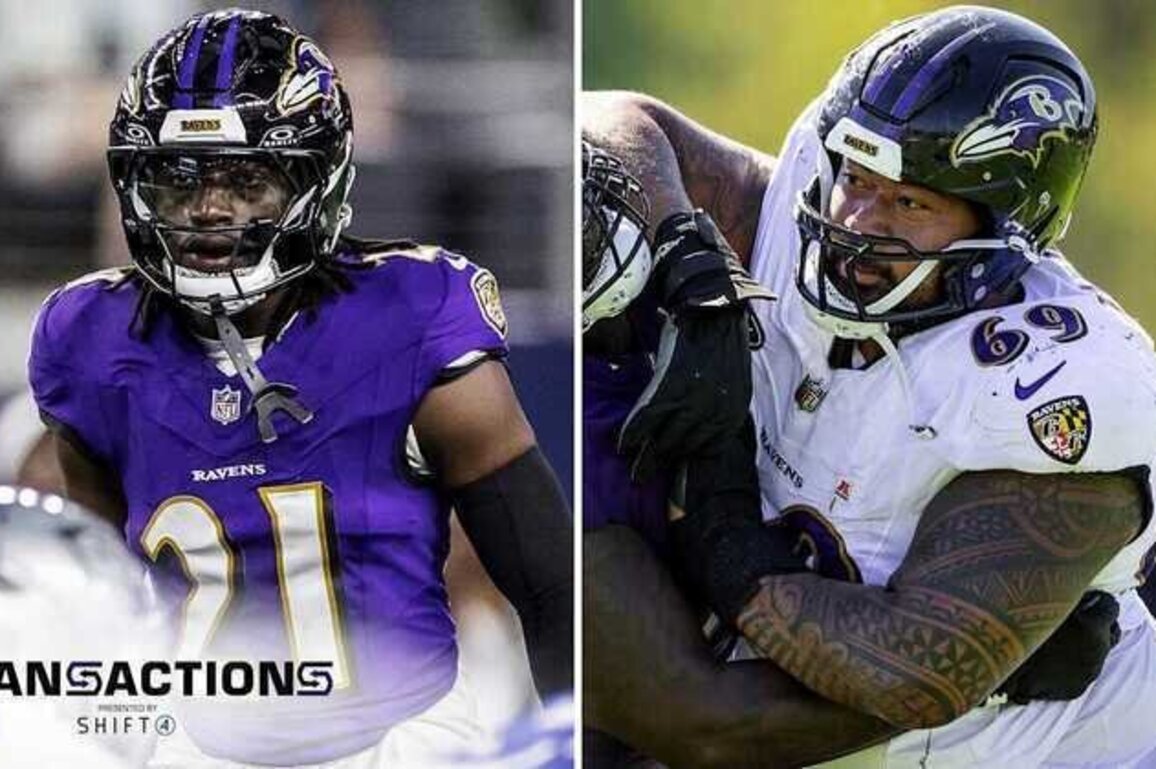 Ravens Elevate Safety and Defensive Tackle to Face Steelers