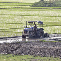 Tractor sales outlook subdued due to weak monsoon concerns: Report