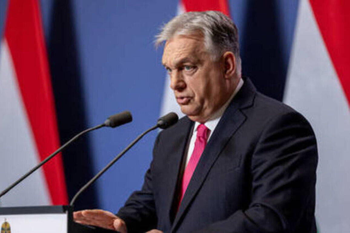 Hungary will block 'every' EU decision on Ukraine over 'oil blockade' - Orban