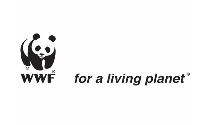 Executive Assistant needed Executive Assistant needed