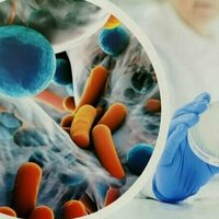 Environmental antibiotic resistance unevenly addressed despite growing global risk, study finds