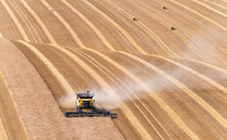A further £190m set to be wiped from harvest income after AHDB downgrades forecast
