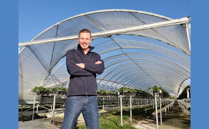 Dan's business grows outside, under tunnels and in glasshouses and produces more than four million plants a year