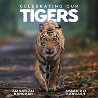 Amaan Ali Bangash, Ayaan Ali Bangash announce new album 'Celebrating Our Tigers'
