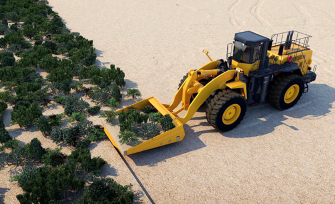 VDT evacuation method (sod removal).