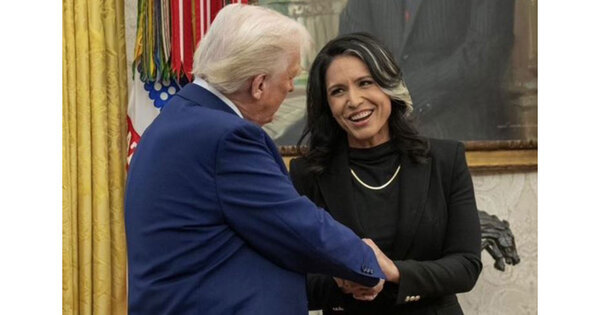 Tulsi Gabbard's office denies report of CIA raid at office after Whistleblowers explosive claim