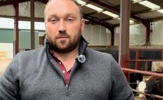 Careers: Young hill farmer from Northern Ireland says there has to be opportunities for new entrants