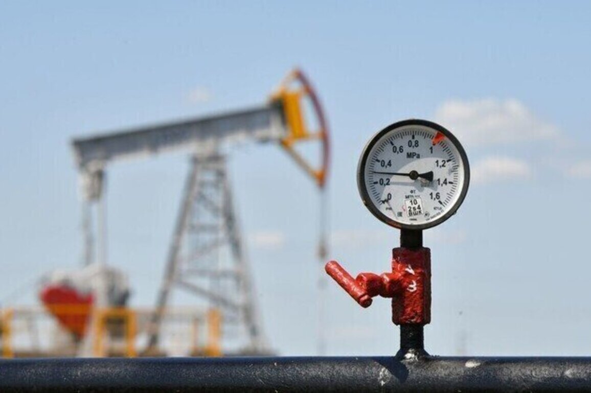 Russian oil exports to India grow despite Western sanctions  Reuters