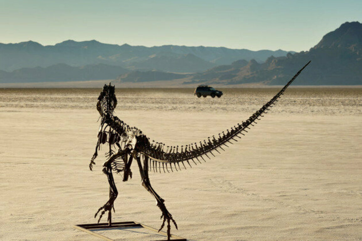 Why it's not a problem that dinosaurs are sold for millions of dollars - art historian