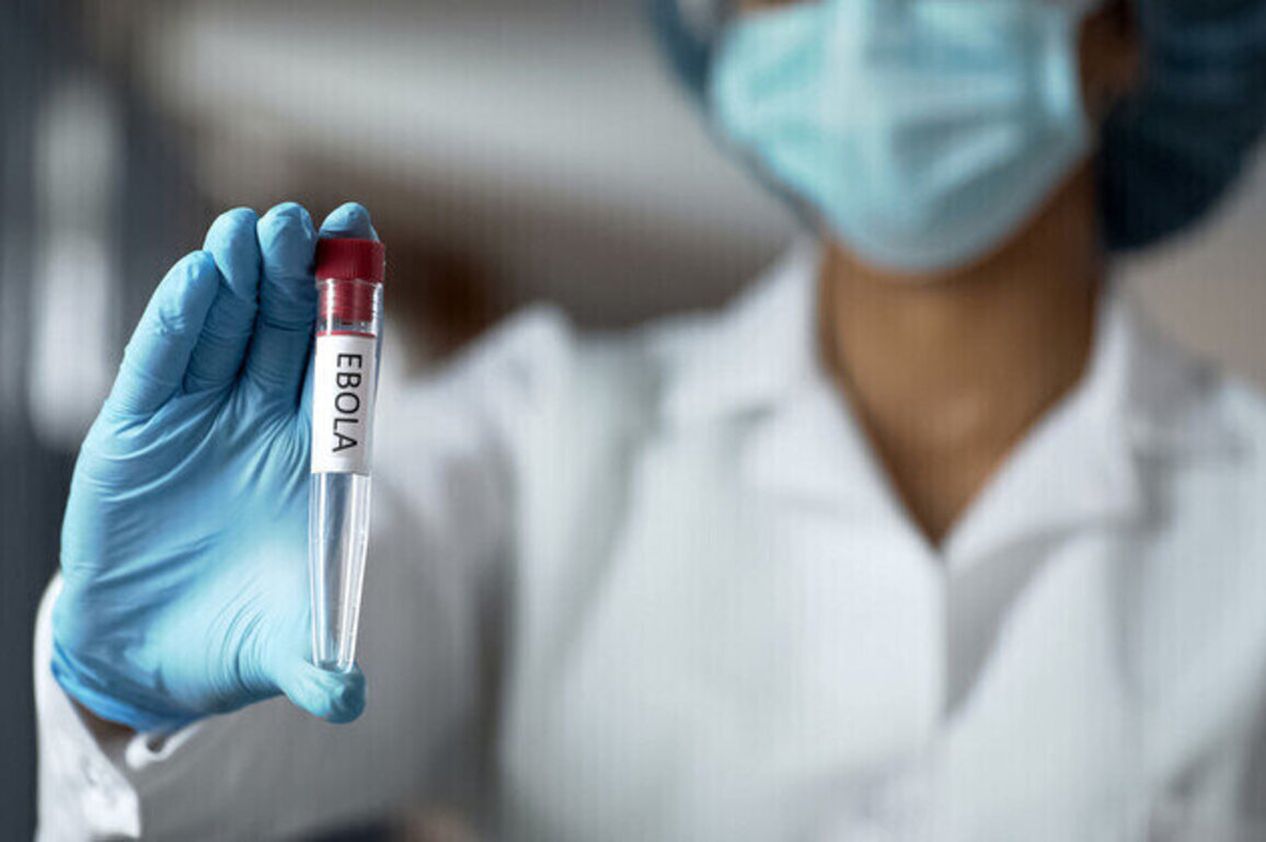 Deadly virus outbreak kills 65 in DR Congo