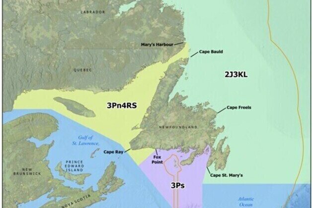 Newfoundland and Labrador Recreational Groundfish Fishery Stocks