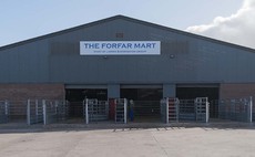 Co-operative buyout Forfar auction market's last chance