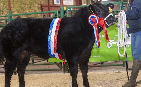 Kirkby Classic tops at 6,000 for champion